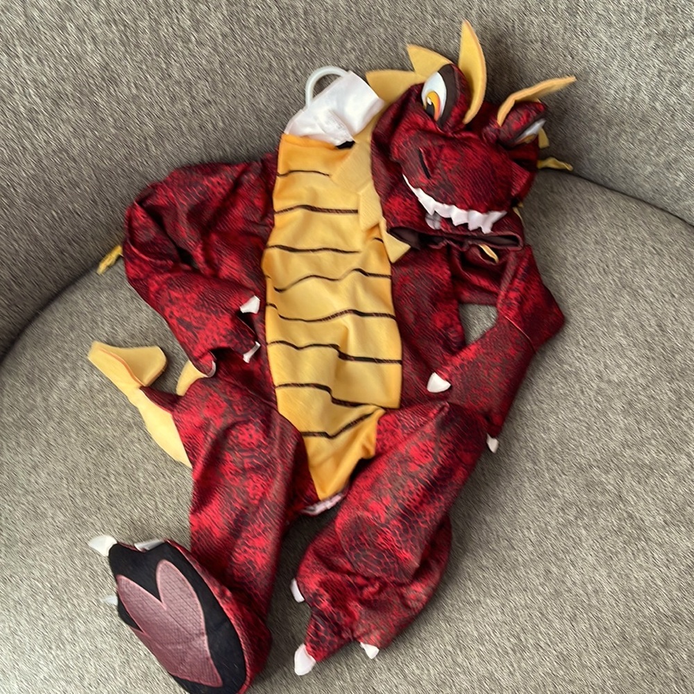 Infant Dragon costume